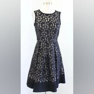 Calvin Klein Black Lace Illusion Belted Fit and Flare Faux Suede Trim Dress Sz 6